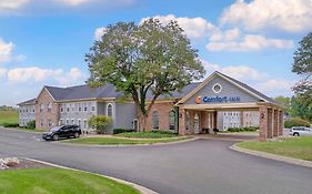 Comfort Inn Plainwell Mi